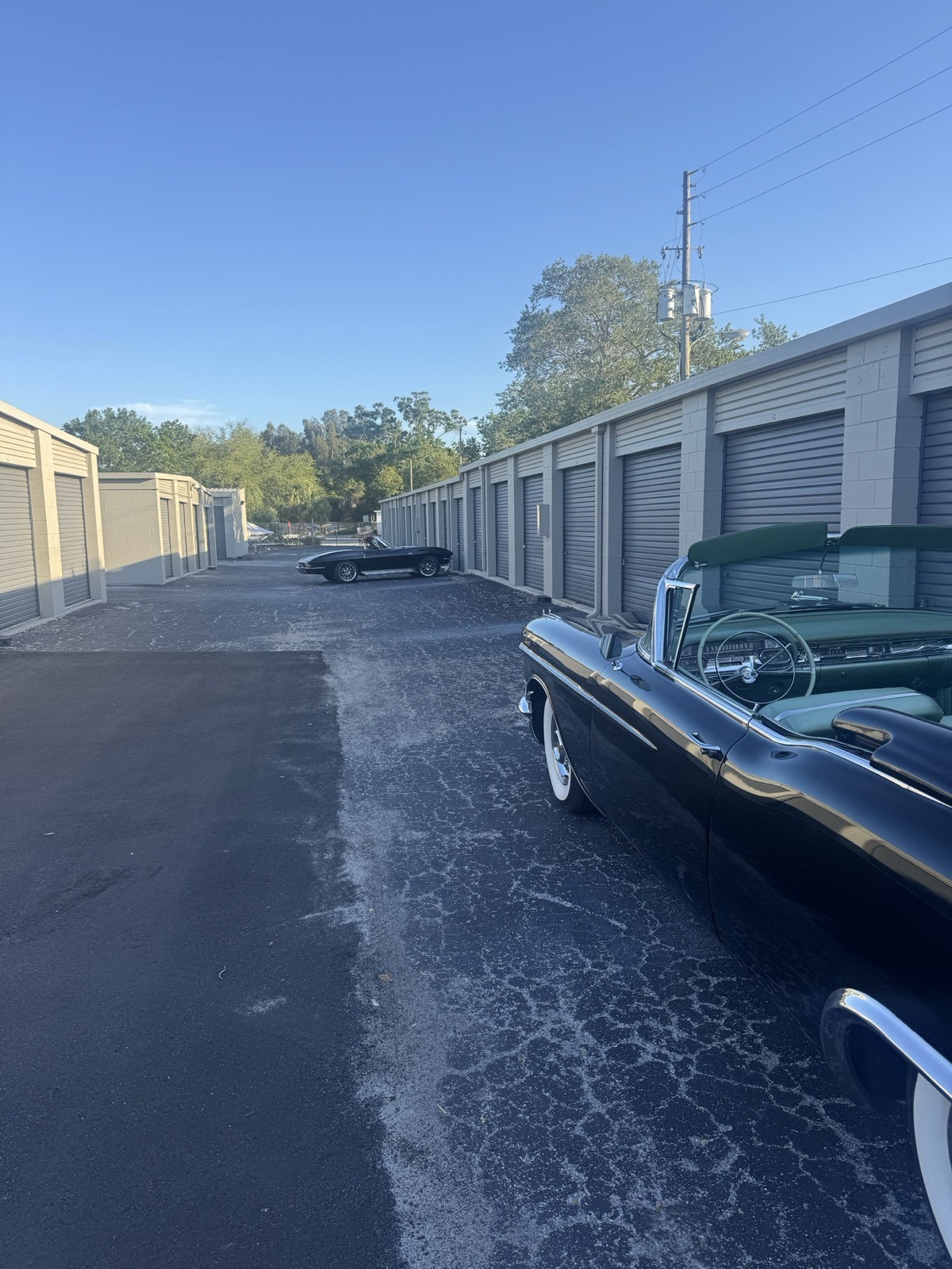 Classic Cadillac Eldorado and Jaguar E-Type at Edgewater storage